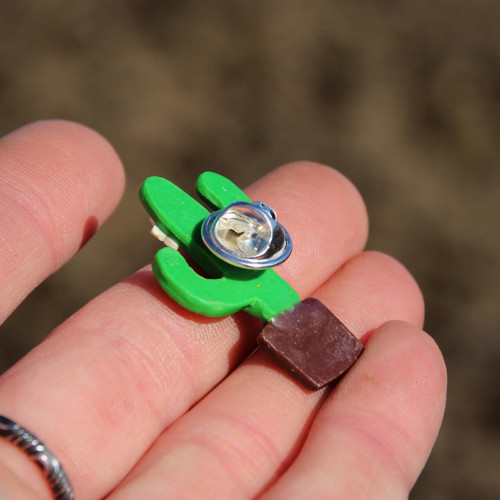 Kaktus (pin) — foto 2