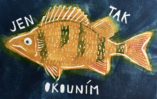Jen tak okounim — foto 2