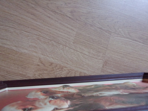 Plastický obrázek pejsků — foto 2