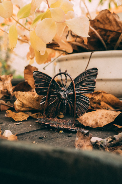 Dekorácia motýľ — foto 3