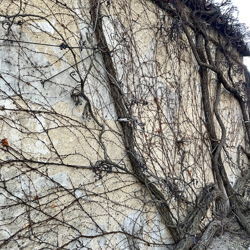 Kolečko mini — foto 5