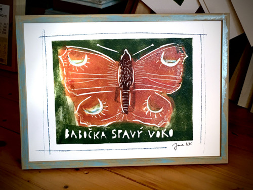 Babočka spavý voko — foto 2