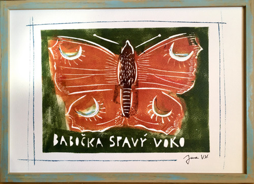 Babočka spavý voko — foto 3
