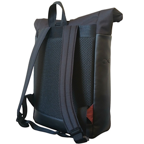 Bird — foto 2