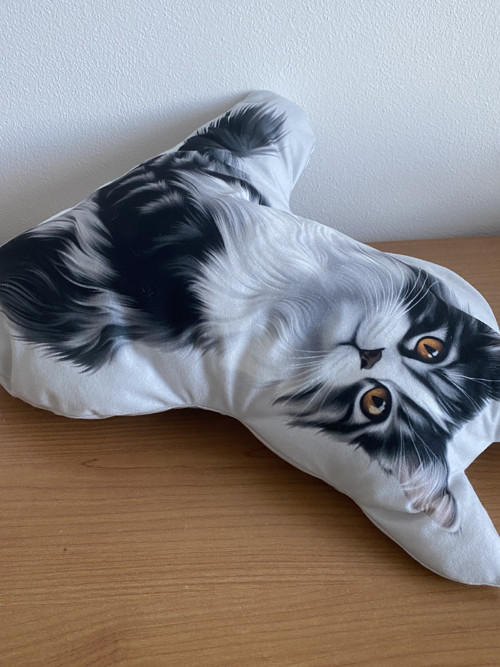 Polštář 3D - Mainská mývalí kočka — foto 2