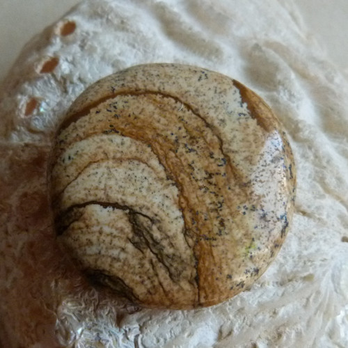 Jaspis obrázkový - 3,8 cm - Extra — foto 5