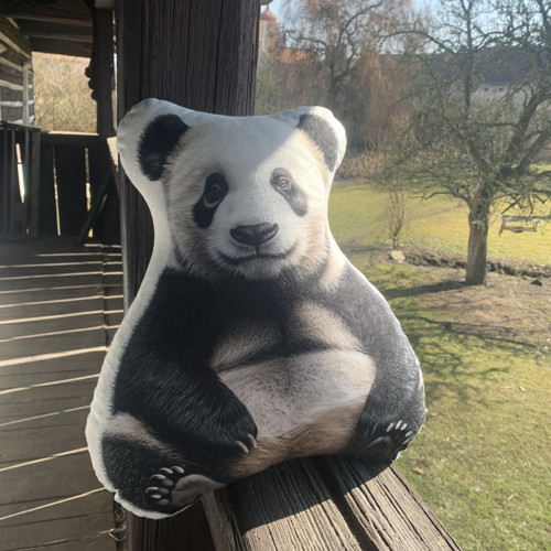 Polštář 3D - Panda velká — foto 3