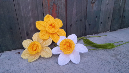 Háčkovaný narcis — foto 3