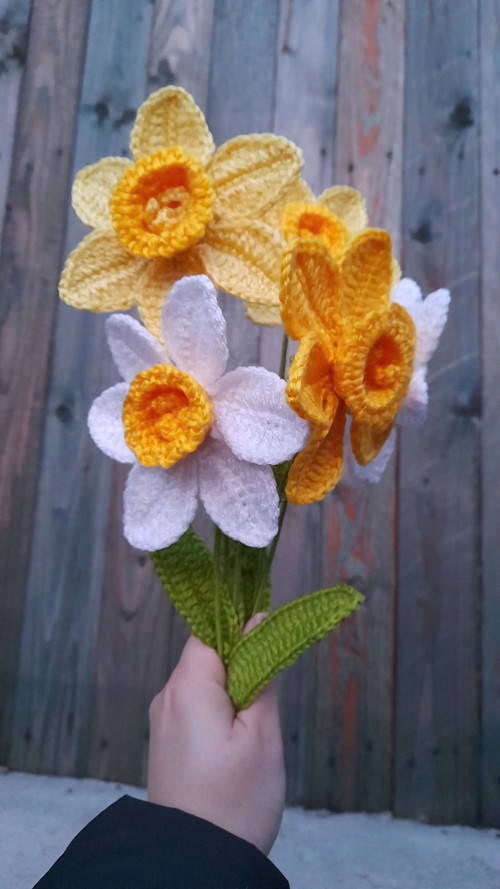 Háčkovaný narcis — foto 4
