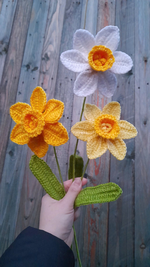 Háčkovaný narcis — foto 2
