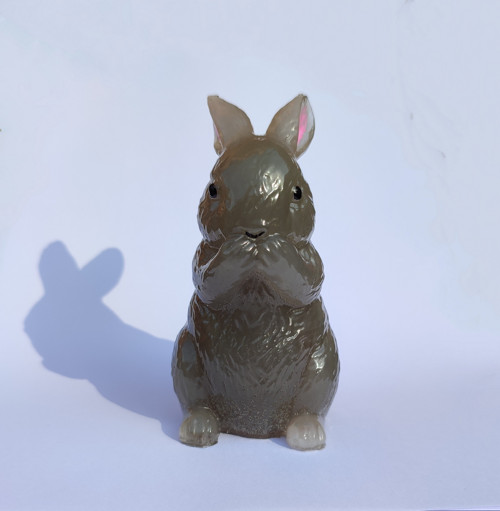 Králík — foto 2