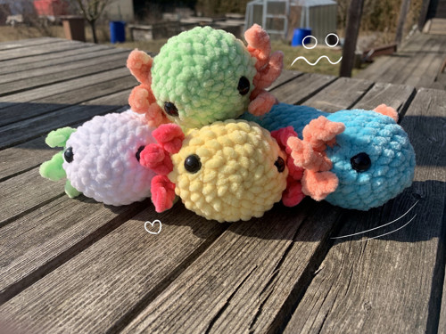 Axolotl modro-lososvý — foto 3