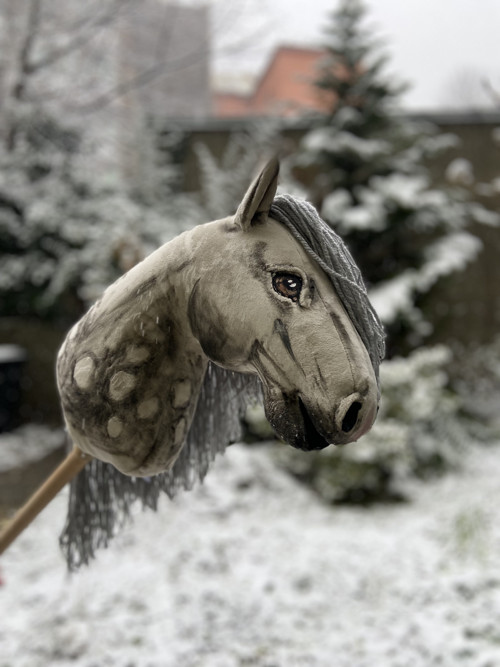 Grošák - Hobby horse — foto 2