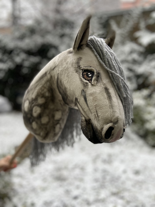 Grošák - Hobby horse — foto 3