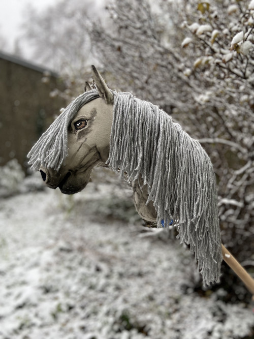 Grošák - Hobby horse — foto 4