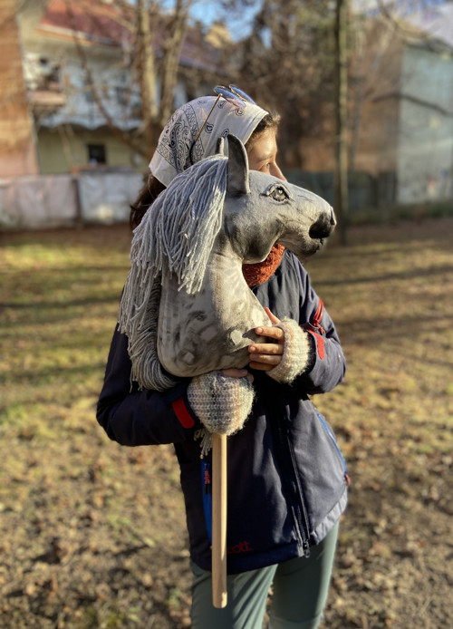 Grošák - Hobby horse — foto 5
