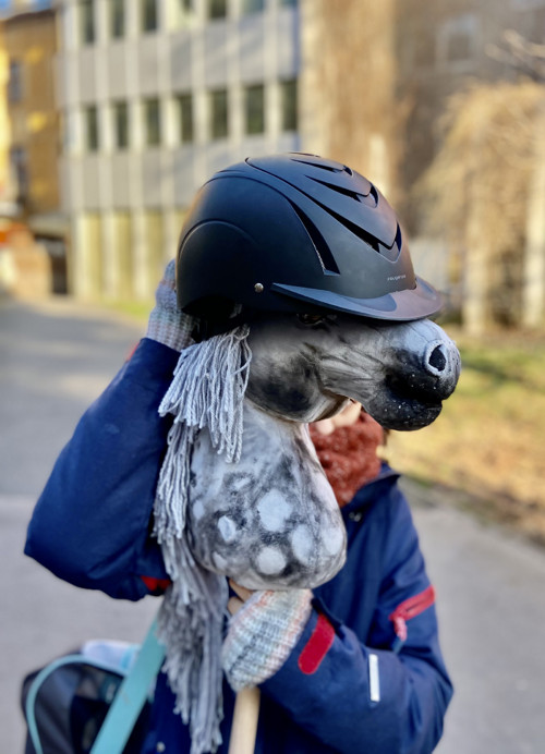 Grošák - Hobby horse — foto 6