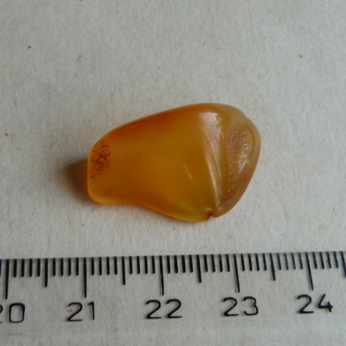 Jantar Polsko Gdaňsk - 2,5 cm -Extra! — foto 5