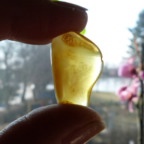 Jantar Polsko Gdaňsk - 2,5 cm -Extra! — foto 6