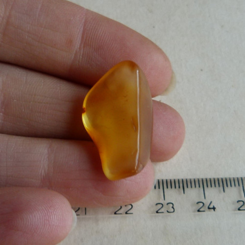 Jantar Polsko Gdaňsk - 2,5 cm -Extra! — foto 3