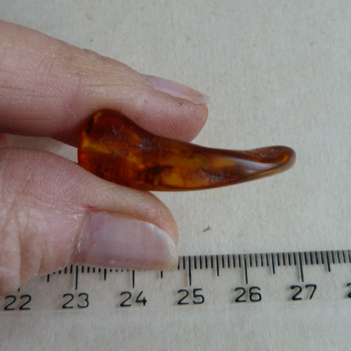 Jantar Polsko Gdaňsk - 3,3 cm — foto 5