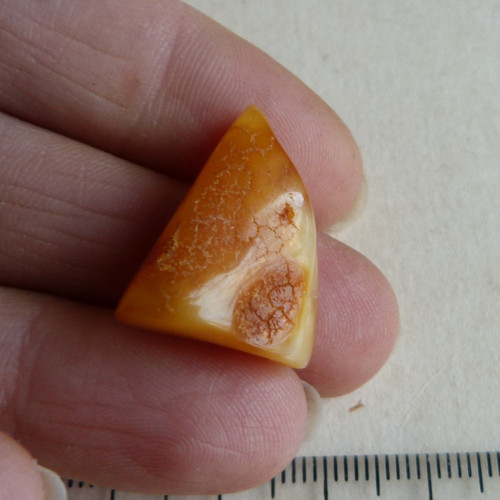 Jantar Polsko Gdaňsk - 2,2 cm — foto 4