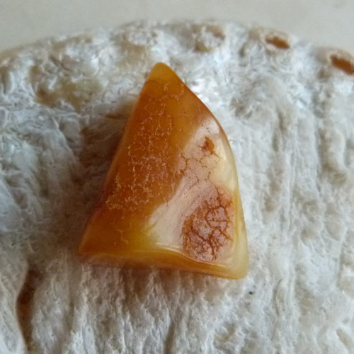 Jantar Polsko Gdaňsk - 2,2 cm — foto 2