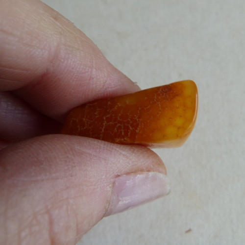 Jantar Polsko Gdaňsk - 2,2 cm — foto 5