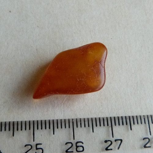 Jantar Polsko Gdaňsk - 2,1 cm — foto 6