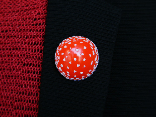 Fly Agaric — foto 2