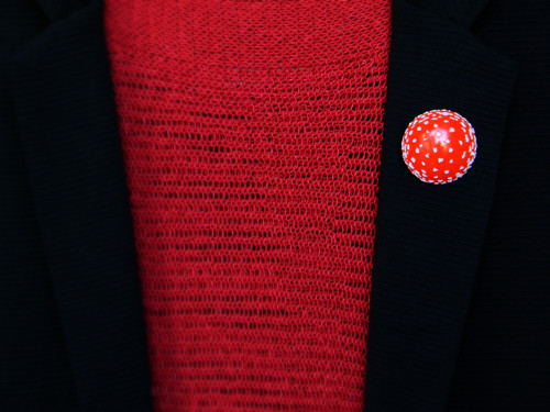 Fly Agaric — foto 3