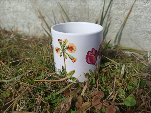 Hrnek - Jarní — foto 2