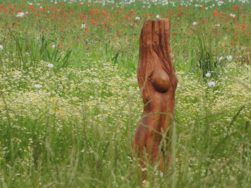 Nevinnost .. interiér — foto 2