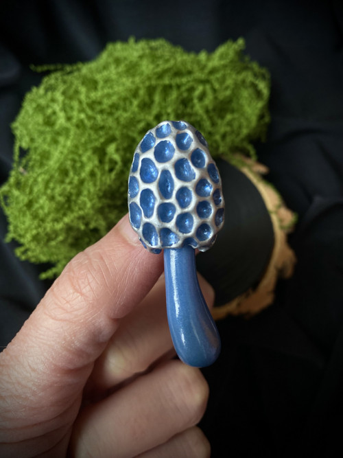 Morel — foto 4