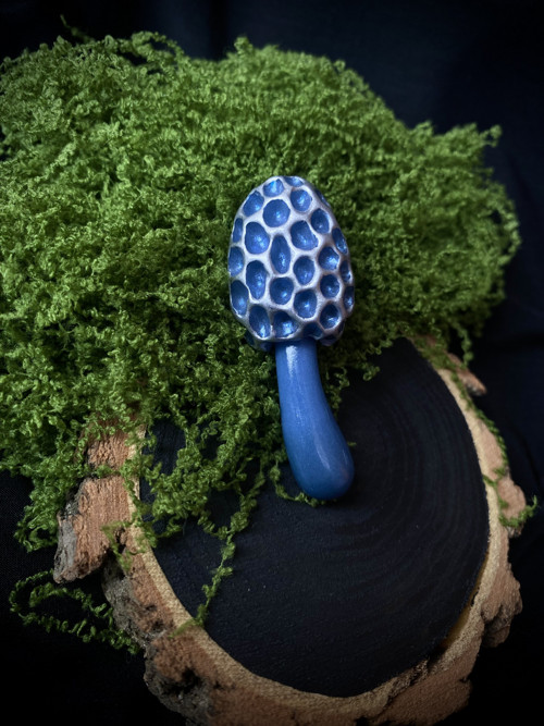 Morel — foto 2