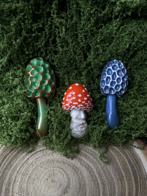 Fly Agaric "baby" — foto 2