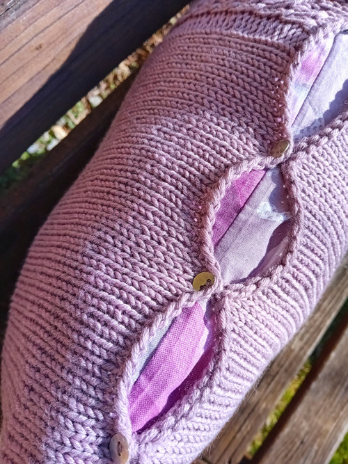 Campanula polštář — foto 3