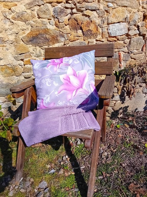 Campanula polštář — foto 5