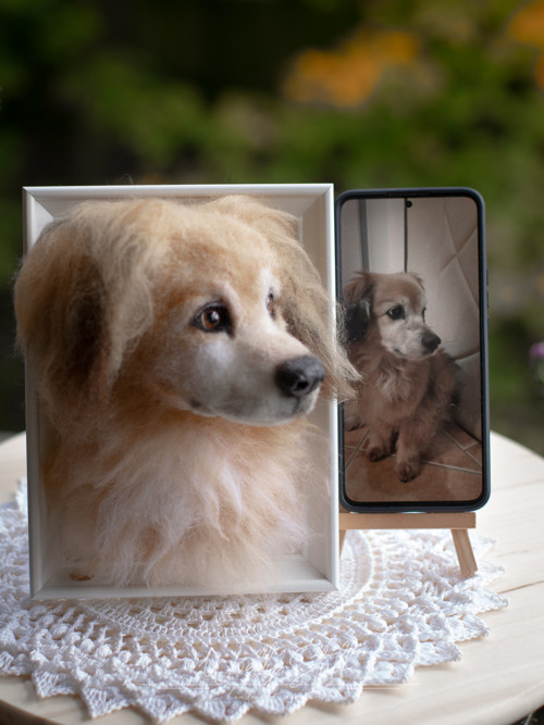 Luxusní 3D portrét pejska — foto 5