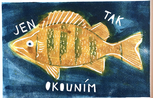 Jen tak okounim — foto 3