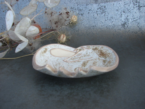 Miska koník — foto 2