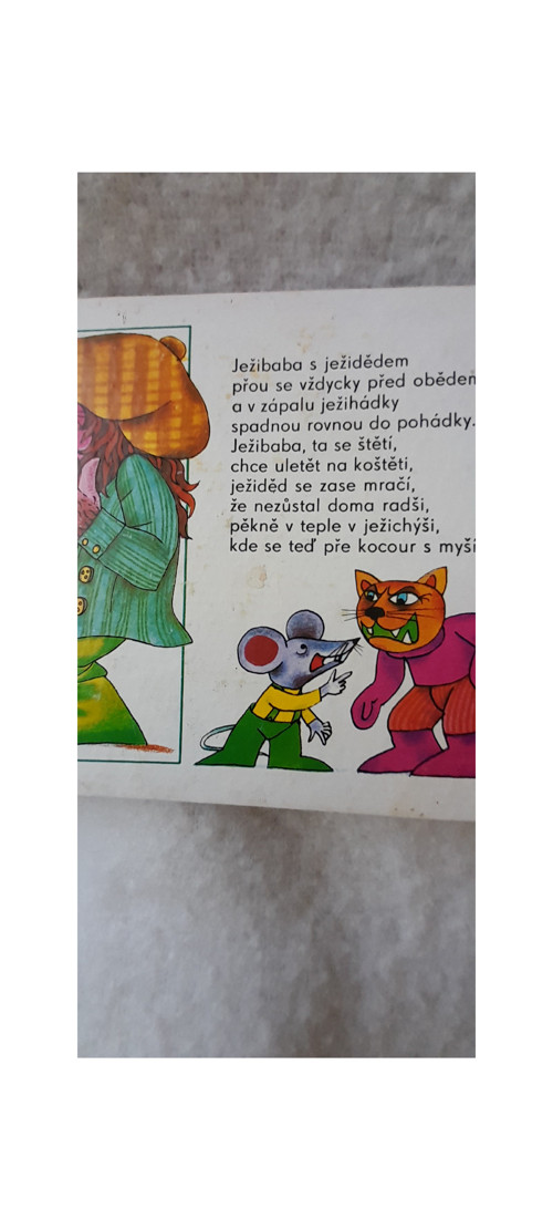 Hádala se kachna s husou — foto 3