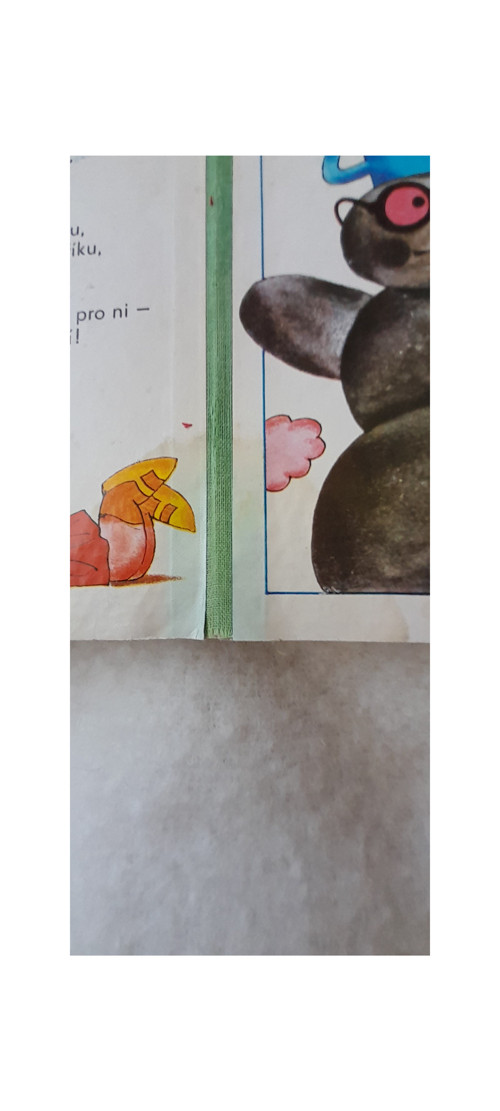 Hádala se kachna s husou — foto 4