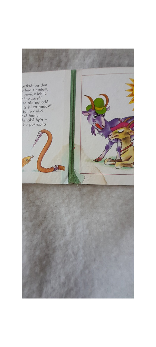 Hádala se kachna s husou — foto 6