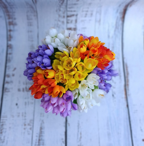 Kytice krokusů — foto 2