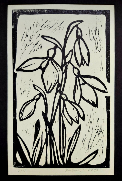 Sněženky — foto 2