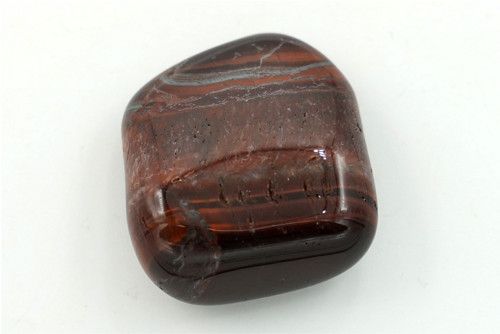 Býčí oko 3,1 cm — foto 2