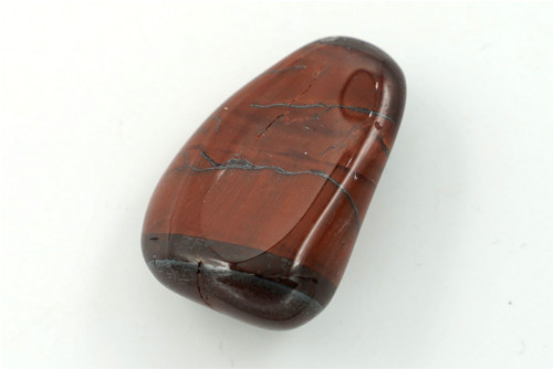 Býčí oko 3,5 cm — foto 2