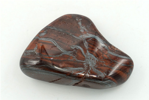 Býčí oko 4,1 cm — foto 2
