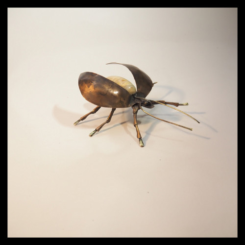 Beetle - brouk Cyril Listový v rámu — foto 4